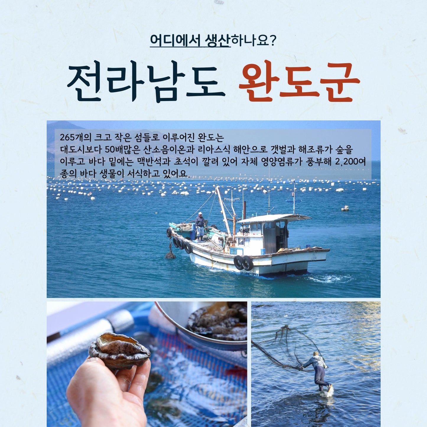 신지어부 프리미엄 냉동 전복장