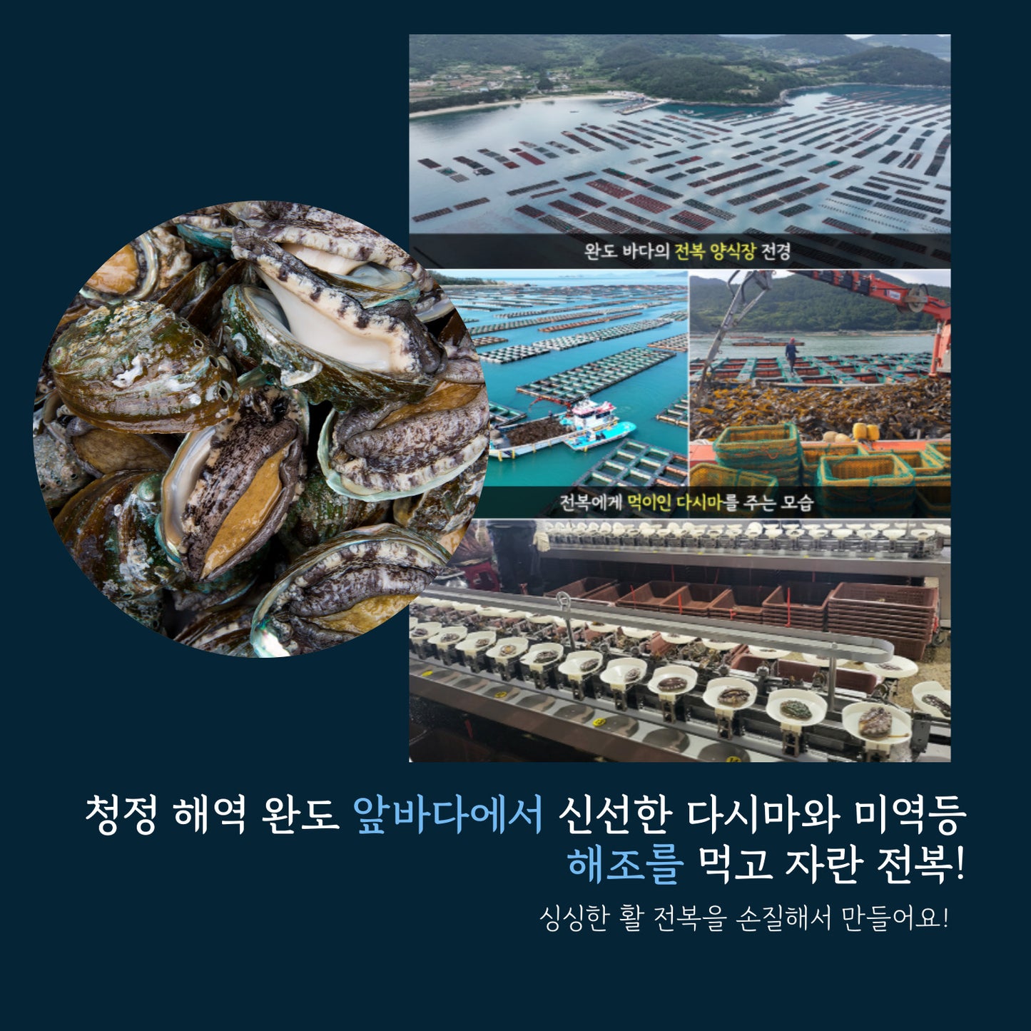 신지어부 프리미엄 냉동 전복장