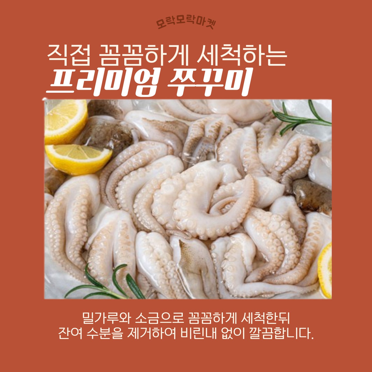 **중독적인 매운맛! 통통하고 쫄깃한 모락모락 쭈꾸미**