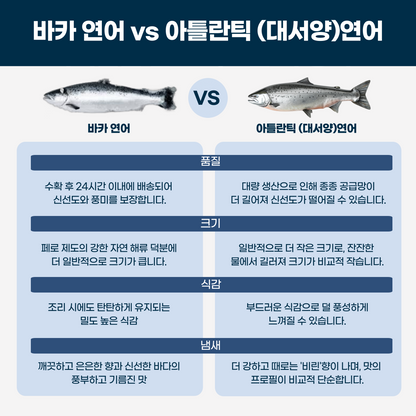 고급 스시집에만 납품되는 최상급 퀄리티! 모락모락 바카연어 1.5lb