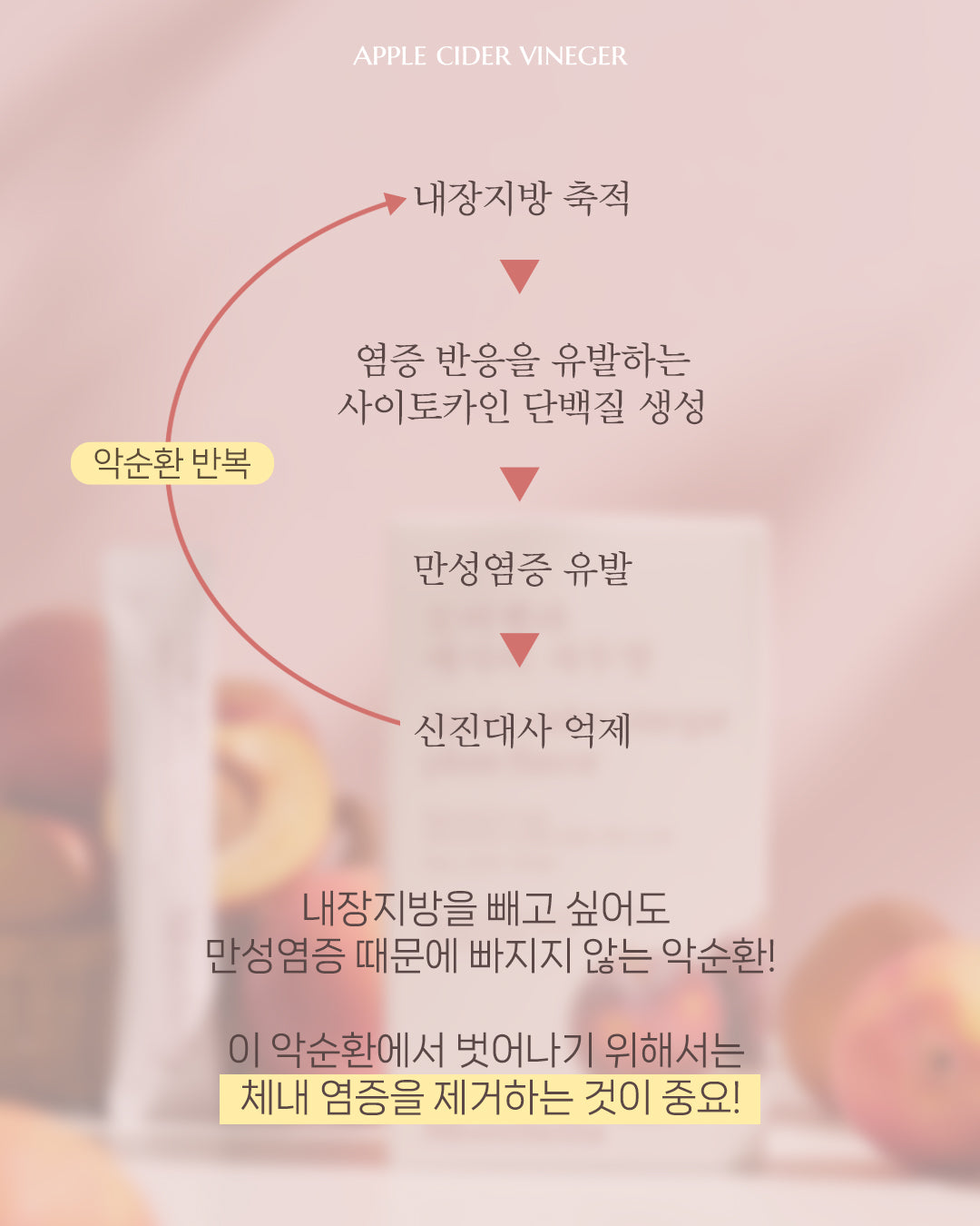 모어벨라 애사비 자두맛